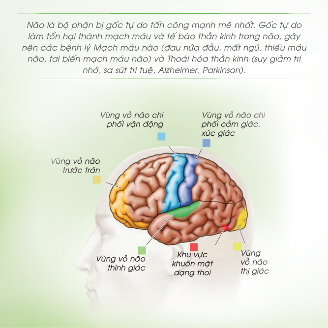 Teo não là một căn bệnh đầy mạo hiểm. Hình ảnh này sẽ giúp bạn hiểu rõ hơn về căn bệnh này và cách phòng ngừa.