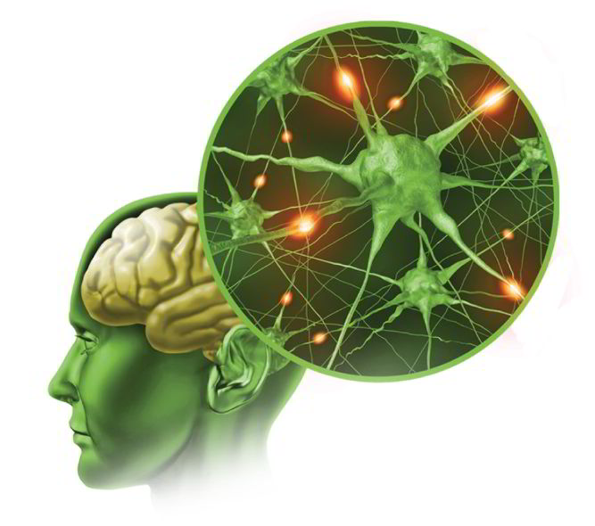 biểu hiện teo não ở người cao tuổi