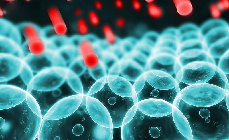 Các gốc tự do tấn công vào tế bào thần kinh, làm ảnh hưởng đến trí nhớ