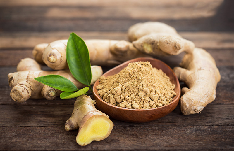 Củ gừng là phần được sử dụng vì chứa nhiều chất dinh dưỡng