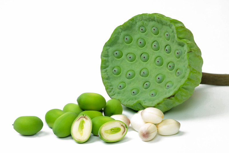 Tâm sen có tác dụng an thần giúp dễ ngủ, ngủ sâu giấc