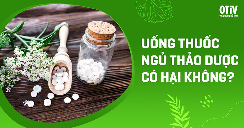 Uống thuốc ngủ thảo dược có hại không? Giải đáp chi tiết, khoa học