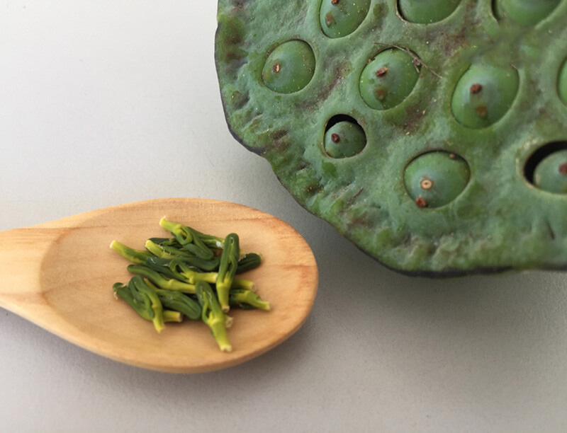 Tâm sen là thành phần dùng để hàm thành trà uống rất tốt cho việc an thần