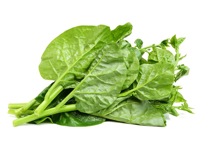 Rau mồng tơi chứa kẽm và magie giúp cải thiện sự hấp thụ chất dinh dưỡng và tạo cảm giác thư thái trong não, tăng chất lượng giấc ngủ