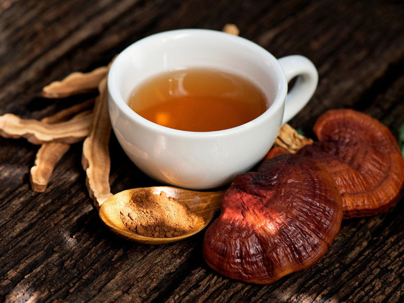 Bạn có thể sử dụng nấm linh chi để uống như một loại trà