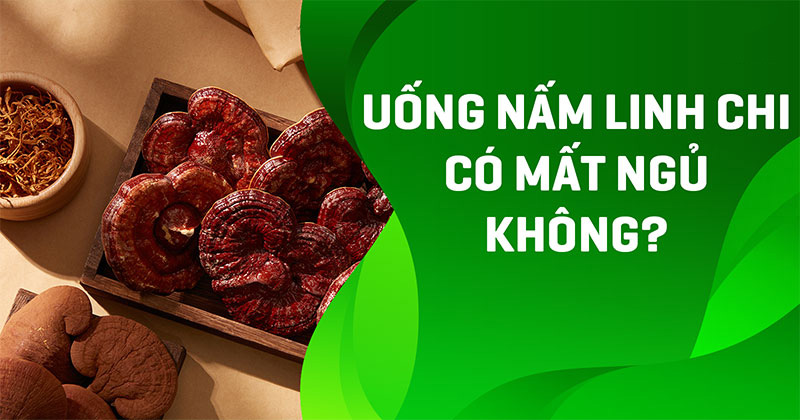 uống nấm linh chi có mất ngủ không