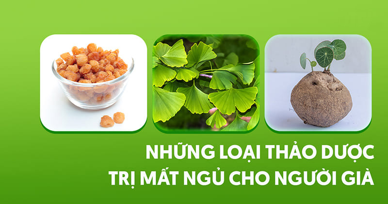 Thảo dược trị mất ngủ cho người già