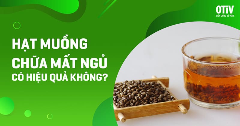 hạt muồng chữa mất ngủ