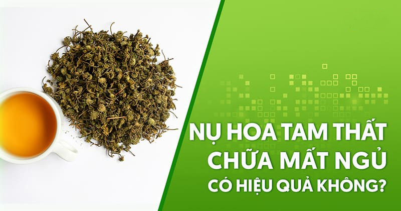 Nụ hoa tam thất chữa mất ngủ