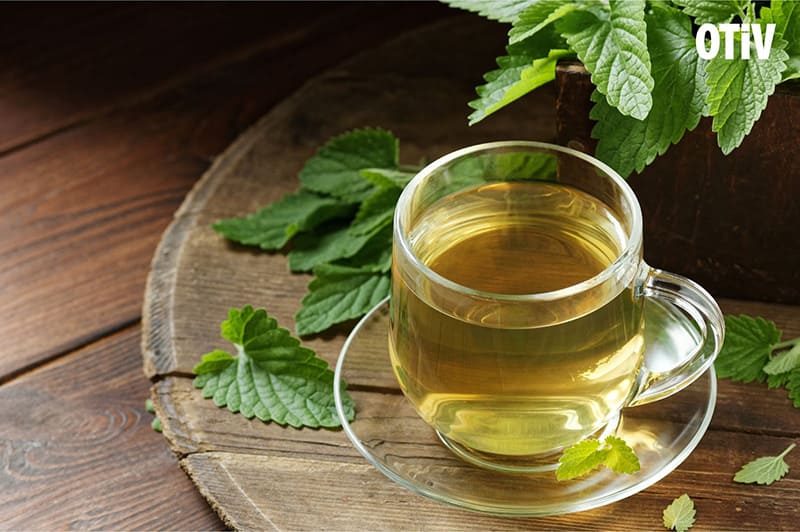 la tia to dat giup an than cai thien giac ngu lá tía tô đất giúp an thần, cản thiện giấc ngủ