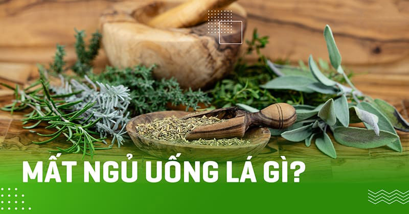 Mất ngủ uống lá gì?