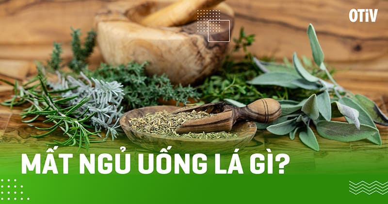mat ngu uong la gi mất ngủ uống lá gì