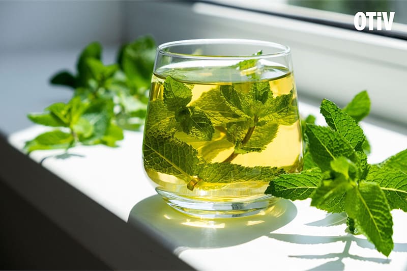 tra bac ha chong oxy hoa ho tro giac ngu trà bạc hà chống oxy hóa hỗ trợ giấc ngủ