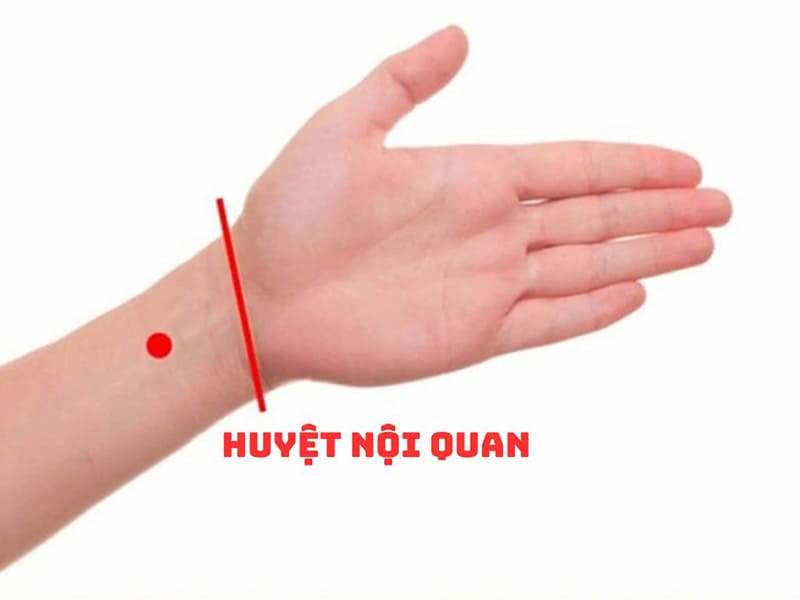 vi tri huyet noi quan vị trí huyệt nội quan