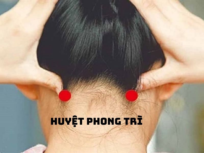 vi tri huyet phong tri vị trí huyệt phong trì