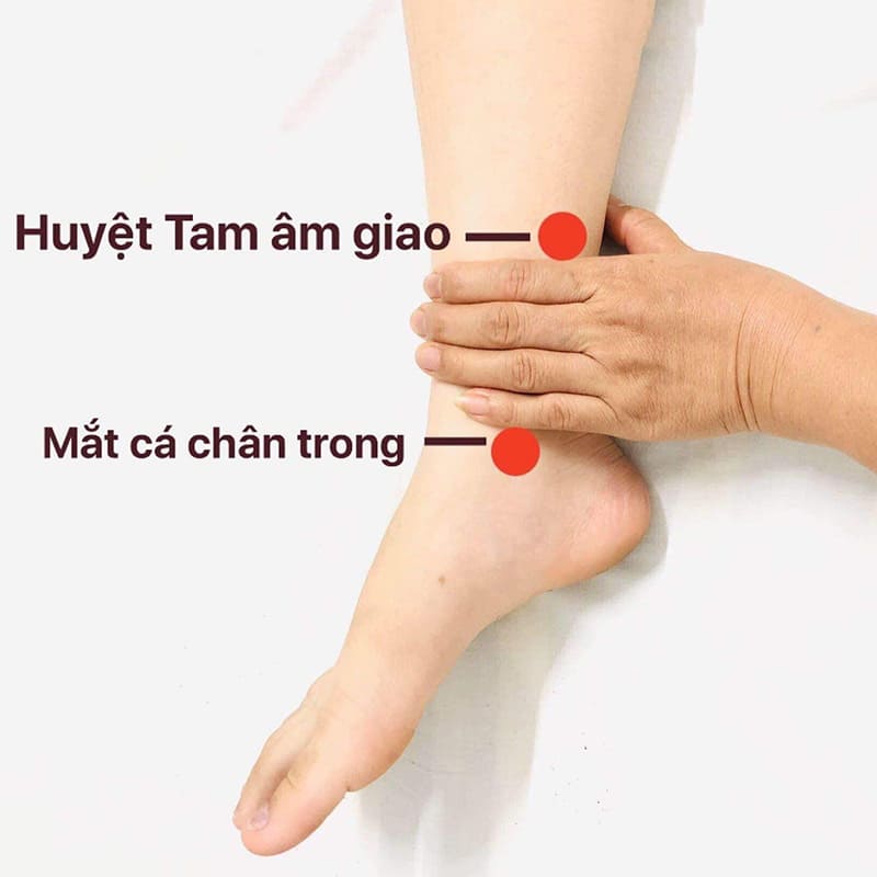 vi tri huyet tam am giao vị trí huyệt tam âm giao