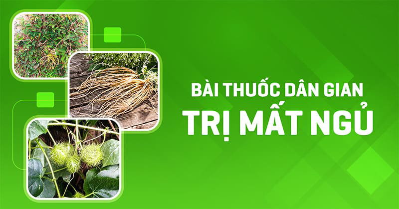 bai thuoc dan gian tri mat ngu 1 Các bài thuốc dân gian trị mất ngủ