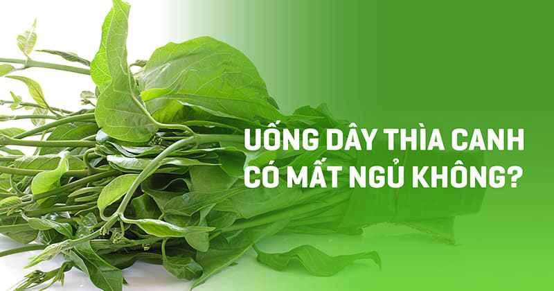 Uống dây thìa canh có mất ngủ không?