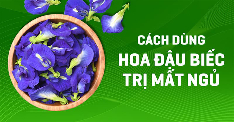 6 cách dùng hoa đậu biếc trị mất ngủ vô cùng đơn giản nhưng hiệu quả
