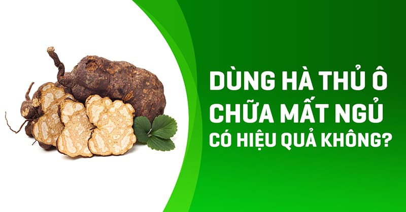 hà thủ ô chữa mất ngủ