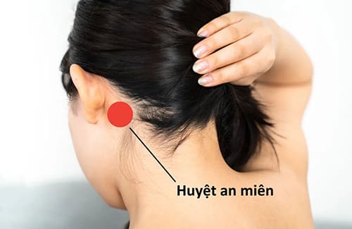 huyệt an miên