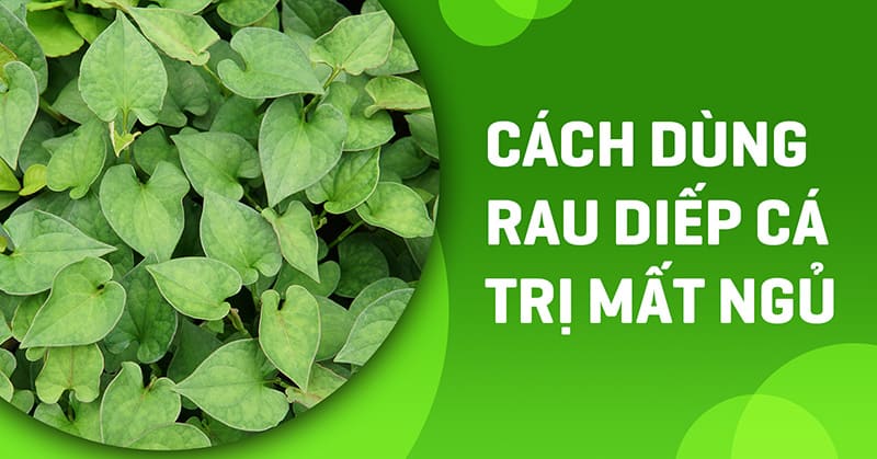 rau diếp cá trị mất ngủ