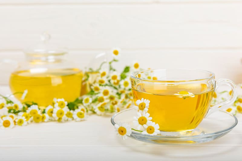 trà hoa cúc hỗ trợ điều hòa đường huyết