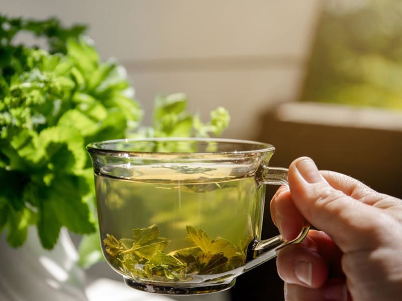 trà thảo mộc giúp thư giãn dễ ngủ