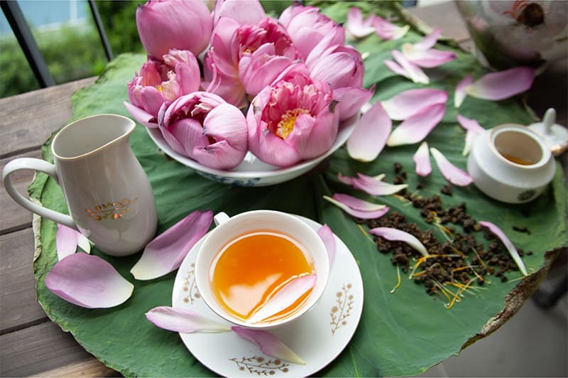 uong tra sen dung cach khong anh huong giac ngu uống trà sen đúng cách không ảnh hưởng giấc ngủ