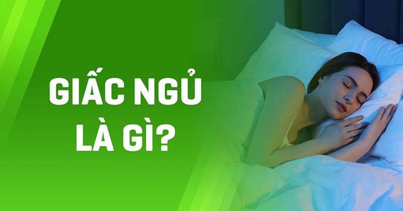 Giấc ngủ là gì? Tại sao chúng ta lại ngủ?