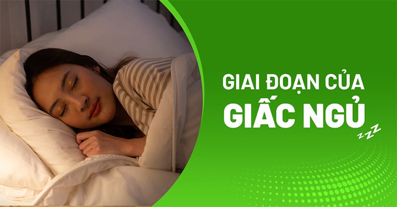 4 giai đoạn của giấc ngủ không thể thiếu với tất cả mọi người
