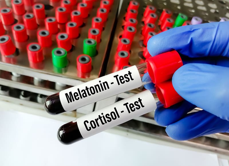 cortisol và melatonin