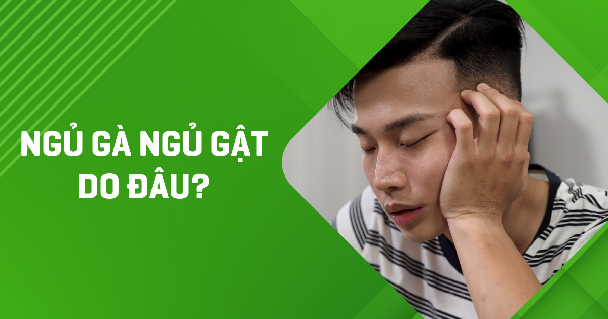 ngủ gà ngủ gật